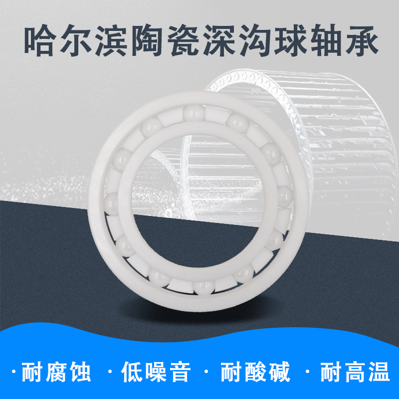 Zirconia all ceramic bearing 6800 6801 6802 6803 6804 6805 6806 6807CE