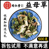 Beijing Tongrentang Motherwort tea 500g wild fresh dried motherwort Chinese medicinal materials regulate menstruation soak feet