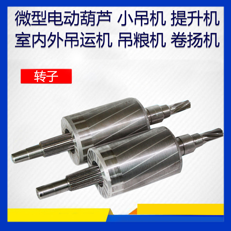 Miniature electric hoist rotor accessories 220v hoisting machine rotor hoist special rotor gear hoisting grain machine