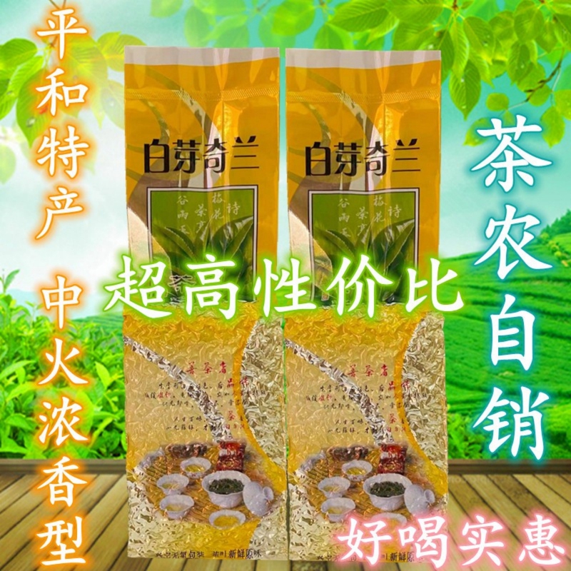 Pinghe Daqinshan Baiya Qilan Tea, Premium Strong-Flavor Type, Pinghe Specialty Baiya Qilan Tea, Fresh-Flavor Type New Tea