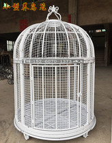 Super large wrought iron Peacock Birdcage Custom Decorative Birdcage display outdoor large large parrot bird cage