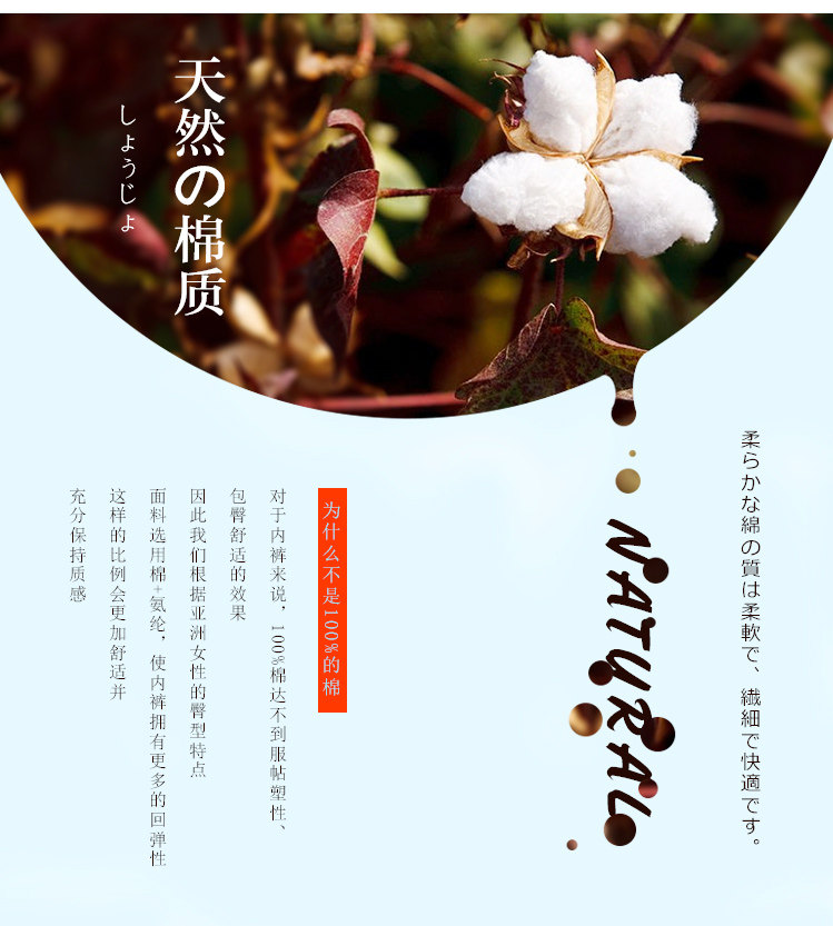 Slip jeunesse simple en coton - Ref 669075 Image 15