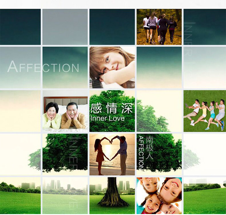 Slip jeunesse NF14252334 en coton - Ref 669032 Image 19