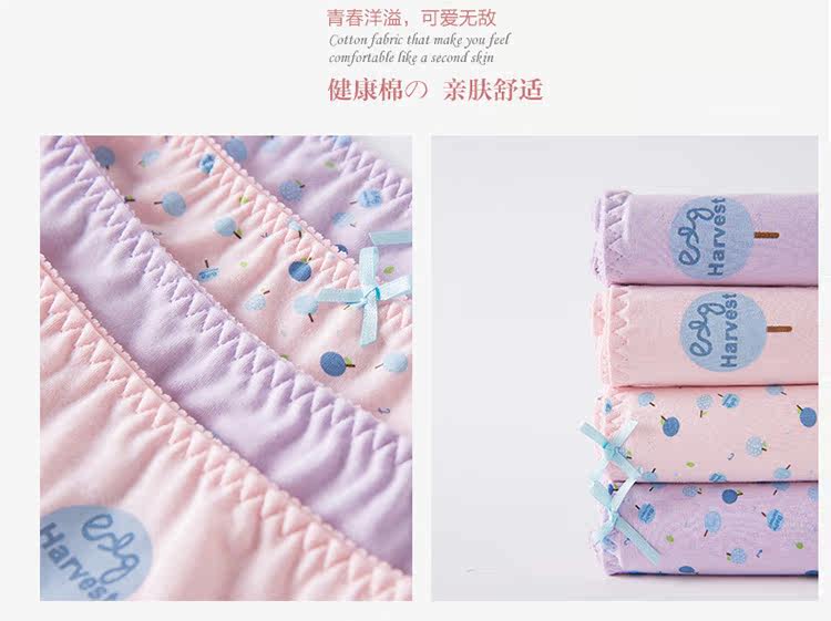 Slip jeunesse NF14252334 en coton - Ref 669042 Image 20