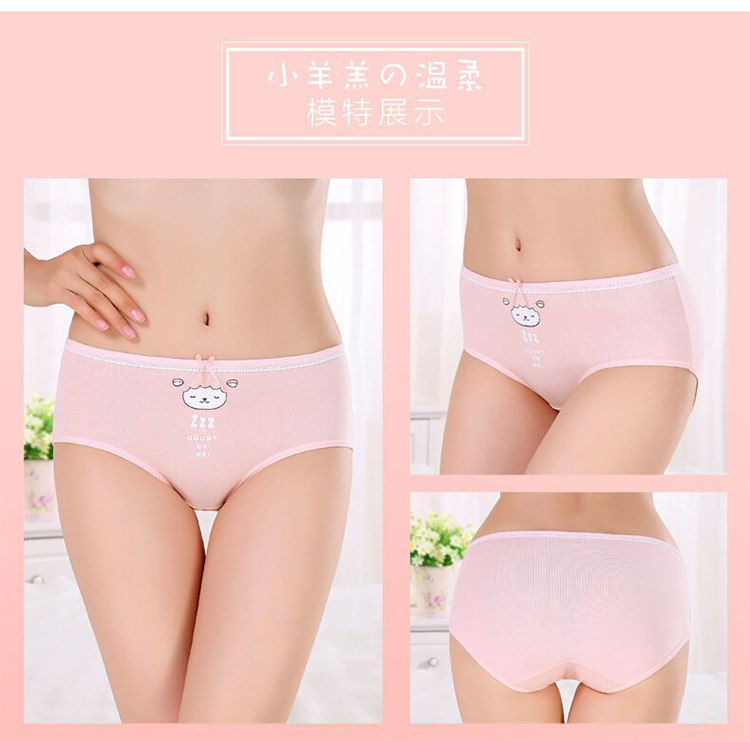 Slip jeunesse NF14252334 en coton - Ref 669032 Image 11