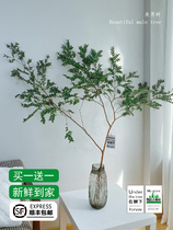 Beauty Male Tree Plant Hydroponic Selection Of Fresh Cut Branches Indoor Potted Plants Green Planting Horse Drunkenness Nordic Wind Hanging Bells Water Raising Flowers