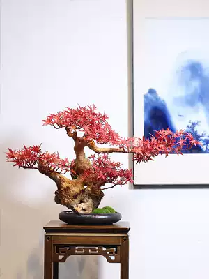 New Chinese maple leaf welcoming pine bonsai Zen decoration flower pot living room entrance tea room decoration solid wood root art