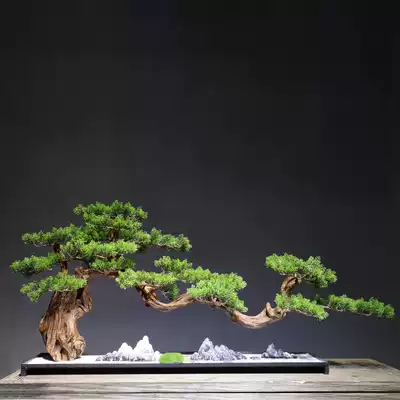 New Chinese style welcome pine entrance table Zen decoration dry landscape micro-landscape Ceramic weathered wood root art decoration