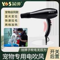 Ingentry Pet Hair Dryer Dog Kitty Blow Water Machine Pet Store Exclusive Bath Hanging Neck Lafur All-in-one Muted