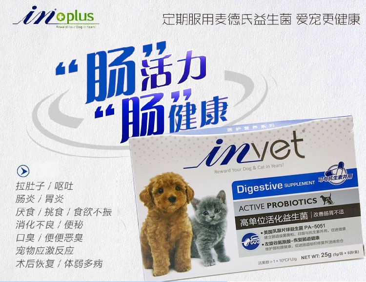 Med của invet dog probiotics pet cát Teddy cat với điều hòa dạ dày sản phẩm sức khỏe nôn tiêu chảy