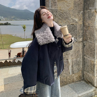 Lamb Wool Lapel Parka down Jacket for Women 2025 Winter New Style Petite Thickened Warm 90% White Duck down Coat