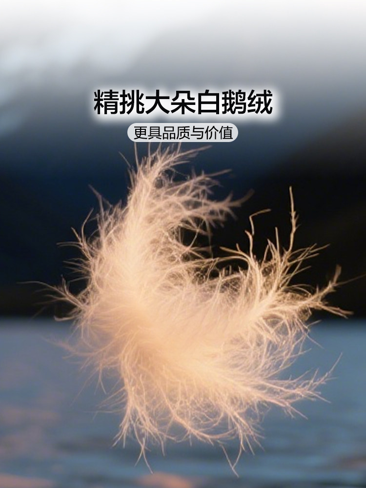 Fuanna 95 White Goose down Quilt Core Winter Warm Thick Quilt Spring and Autumn Bedding Single and Double Bed Supplies down Quilt