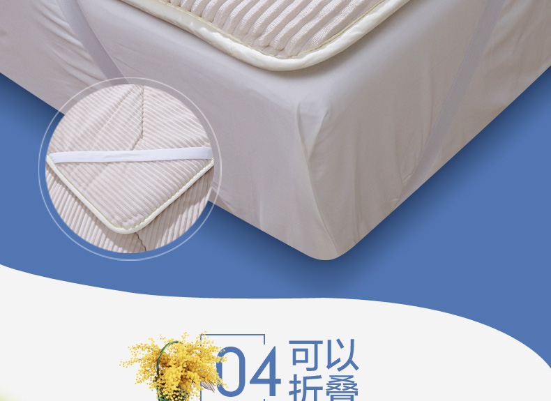 Anna dệt giàu giường pad đơn giường đôi 1.8m dày mùa thu và mùa đông nhung ấm nệm dày bài viết - Nệm đệm 1m