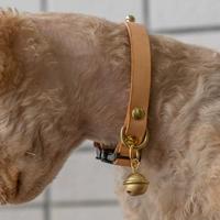 Шейный воротник +925 Серебряный колокол