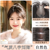 Новое обновление - стиль гороскопа темперамента [натуральный цвет]