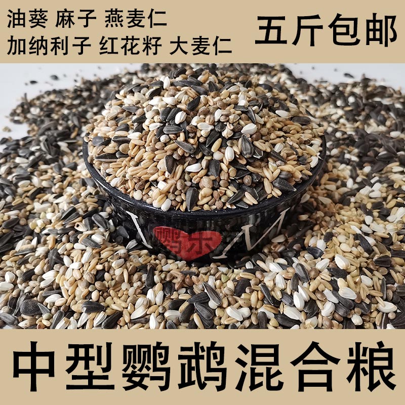 Medium-sized parrot mixed feed, miscellaneous grains, seed grains, bird food, bird grains, oil sunflower seeds, pockmarked oats 500g