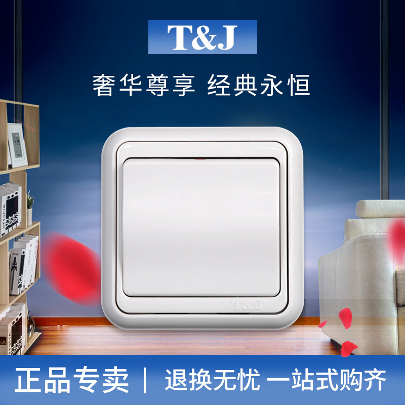 T&J Tianji Classic Single Control/Double Control Ultra-Thin Large Panel 16A Switch White Three-Hole Socket for Home Use 86 Type T&J Tianji Classic Single Control/Double Control Ultra-Thin Large Panel 16A Switch White Three-Hole Socket for Home Use 86 Type