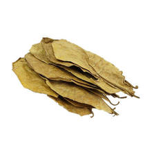 Lili leaf lazy leaf Douyu fish dragon fish short bream Egyptian breeding and breeding PH Acid Drop 8 lazy leaves