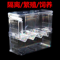 Fish tank Large Number of Pneumatic Acrylic Isolation Box Hatching Case Breeding Box Peacock Fish Production House Fish Fry