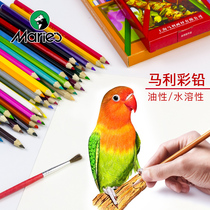 Marley color lead 12 colors 24 colors 36 colors water soluble color pencil watercolor pen color lead
