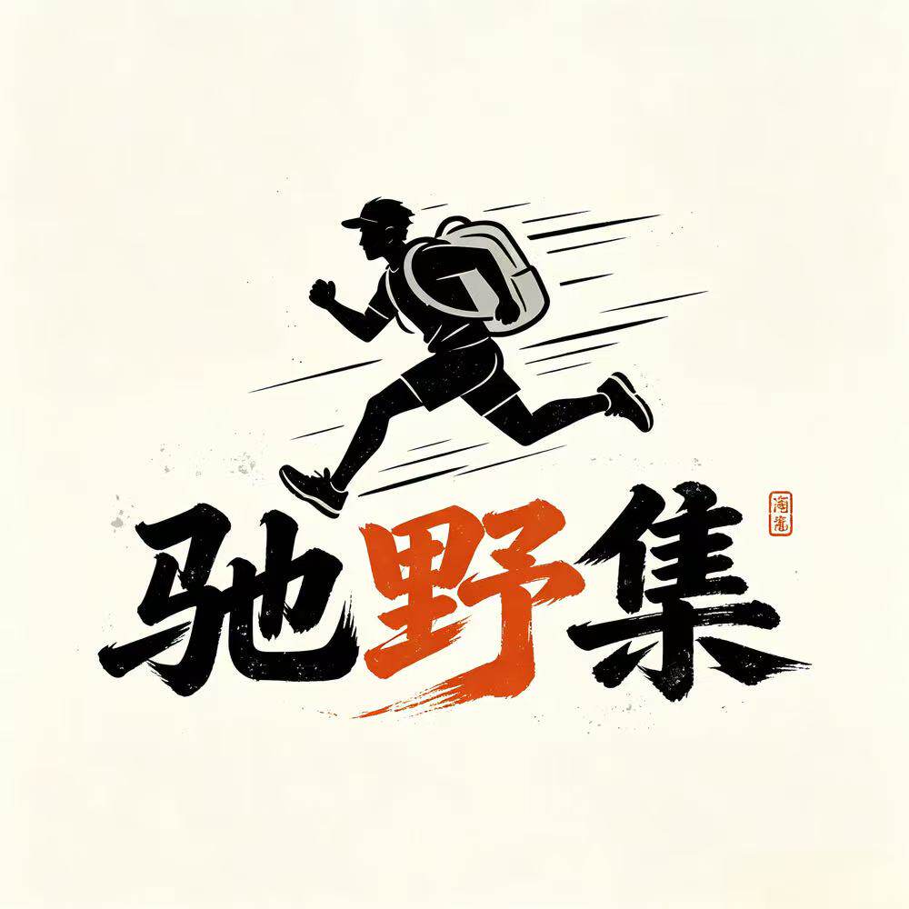 驰野集运动