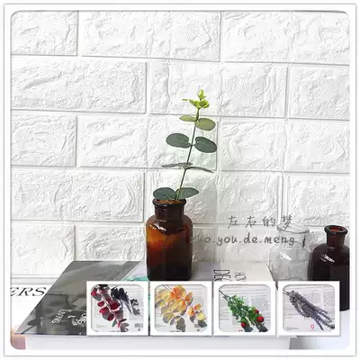The left and right dream ins South Korea simulation eucalyptus leaf Pearl branches plant photo props ornaments props