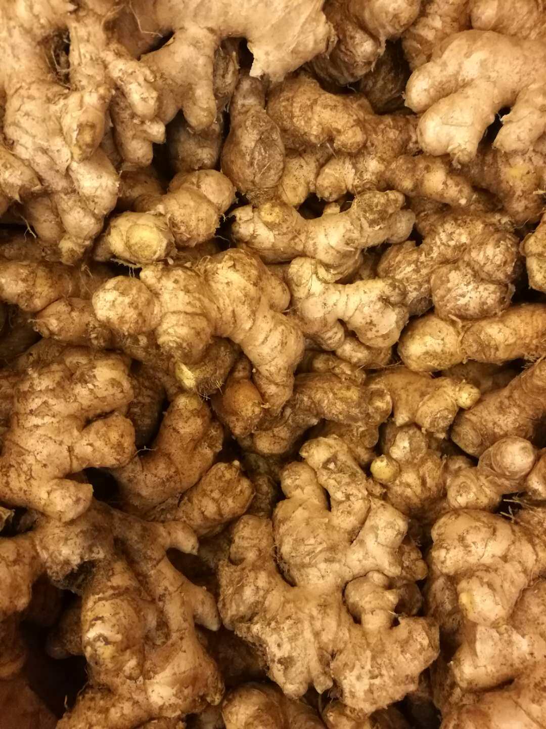 (PURE PURE SOUL) 100% ginger pure dew without added antioxidant 100ml