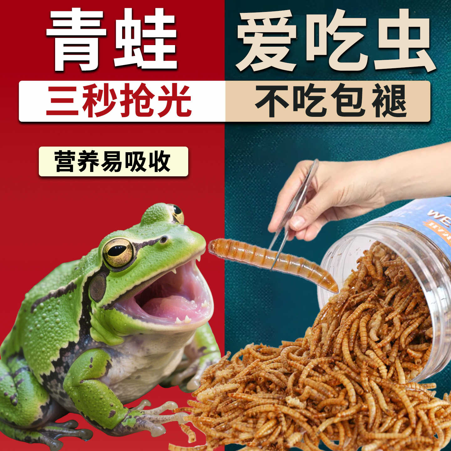 面包蛙- Top 100件面包蛙- 2026年1月更新- Taobao