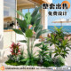 Simulated Green Plant Landscape, Tropical Plant Landscaping Combination, Restaurant Store, Shopping Mall Window Decoration, Coconut Tree, Fake Green Plants