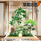 Artificial Green Plant Landscaping Combination for Indoor Entrance, Hotel Lobby, Sales Office, and Shopping Mall Window Decoration