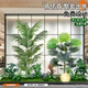 Artificial Green Plant Landscaping Combination for Company Front Desks, Shopping Malls, Clothing Store Window Decorations, and Fake Plant Landscape Ambiance Setup