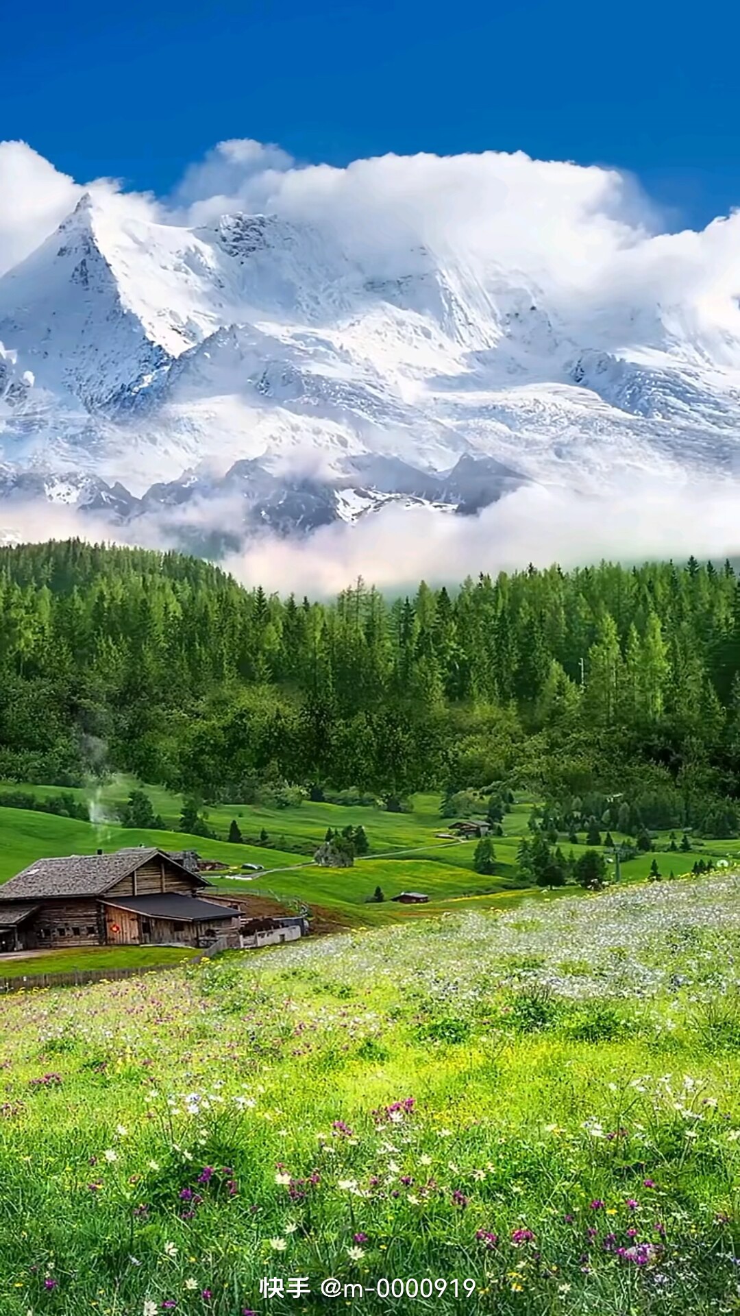 天府电器