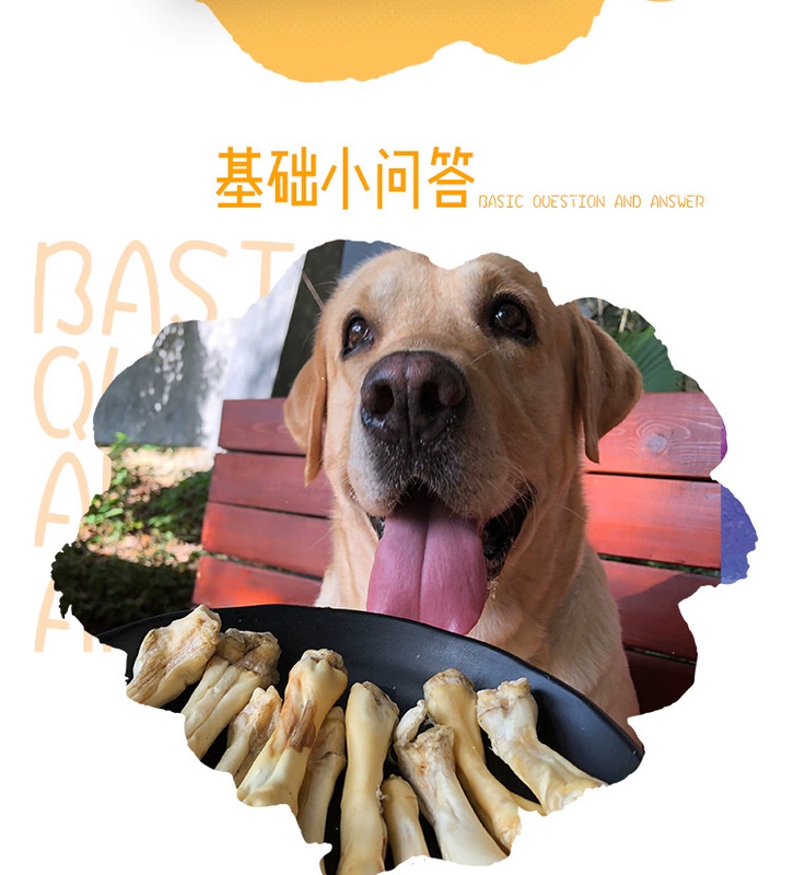 Pet Molar Snacks, Sheepshoe Molars, Chó vừa và nhỏ, Snacks, Golden Retriever, Bites, Milky Molars - Đồ ăn vặt cho chó