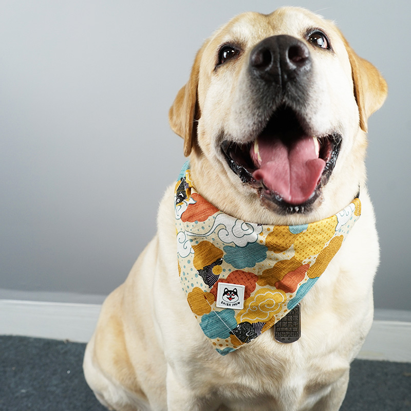 Pet Dog Saliva Towel Triangle Scarf Cute Cartoon Bib Neck Big Dog Large Dog Labrador Husky Bib