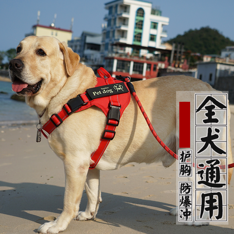 Chest guard pet chest hug baby bag explosion-proof punch to break free Corgi Labrador small, medium and large dogs dog traction rope collar