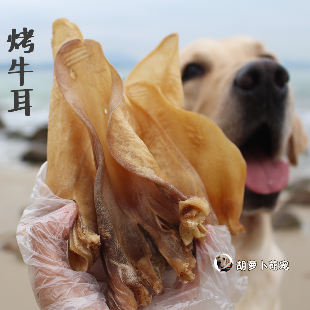 Dogs grind teeth and teeth resistant to bites, pets training Labrador gold wool big dog snacks 200 gr