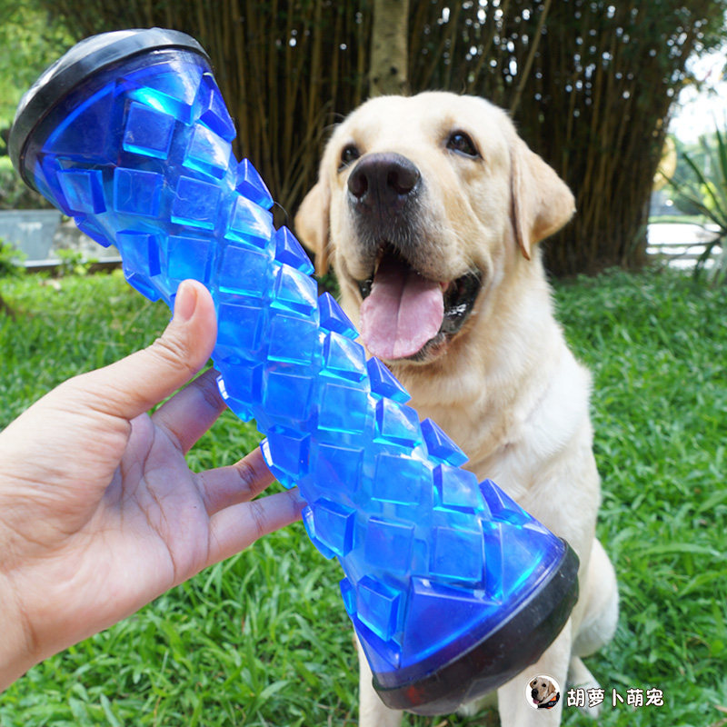 Large number of vocal toys with large canines resistant to bite and environmental interaction bites glue stick gold mullabra multipet grindle