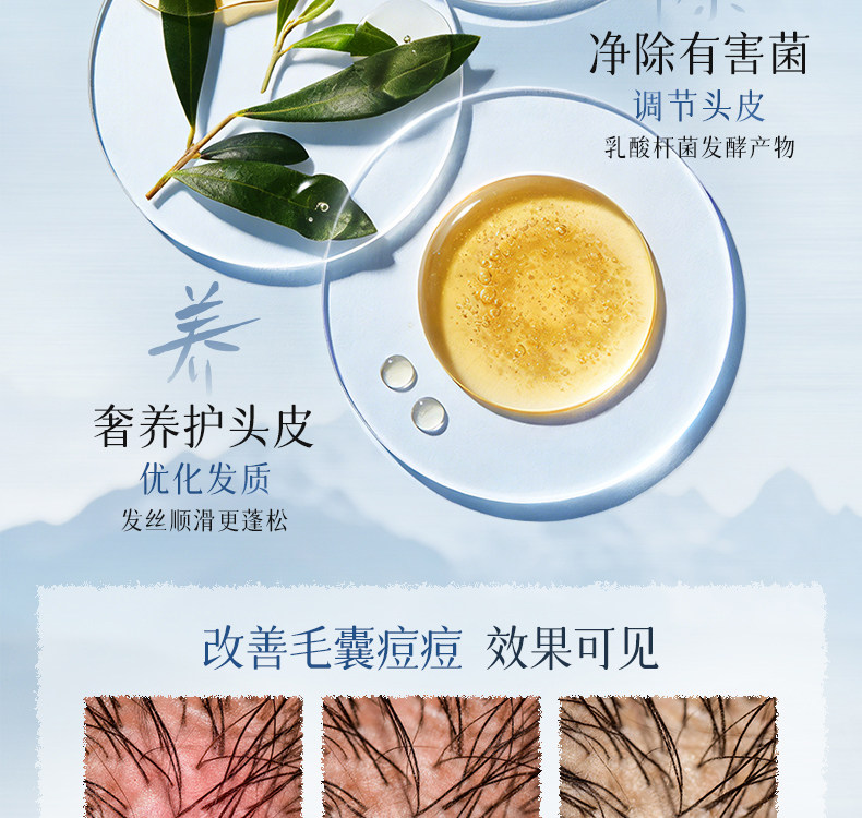 安享好物 安享A级洗发水-韩方五谷二硫化硒 柔香洗发水