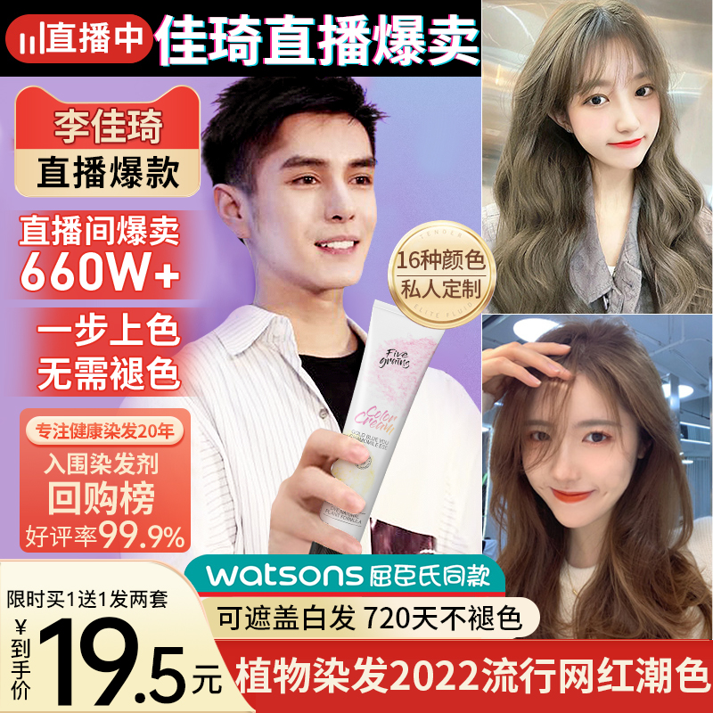 Hair Dye 2022 Popular Foam Black Brown Natural Non-Irritating Plant Pure Self-Coloring Hair Cream Woman at Home