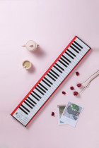 Ding Clang electronic piano 61 keys portable entry Adult beginner home performance examination