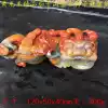 Huanglong Jade boutique eggplant mountain golden sand material mother Pixiu hand parts hand carved quality assurance only earn reputation