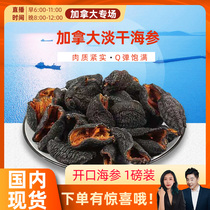 cici brand straight hair opening sea cucumber 1 pound