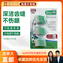 cici Canada GUM dental floss interdental brush toothpicks 270 sticks