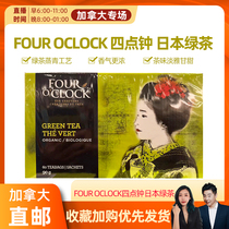 cici Canada FOUR OCLOCK four oclock Japanese green tea 60 bags in a large box