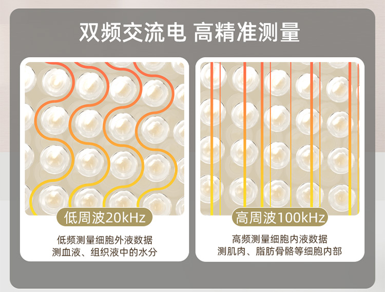 沃萊電極高精準小型減肥體脂秤