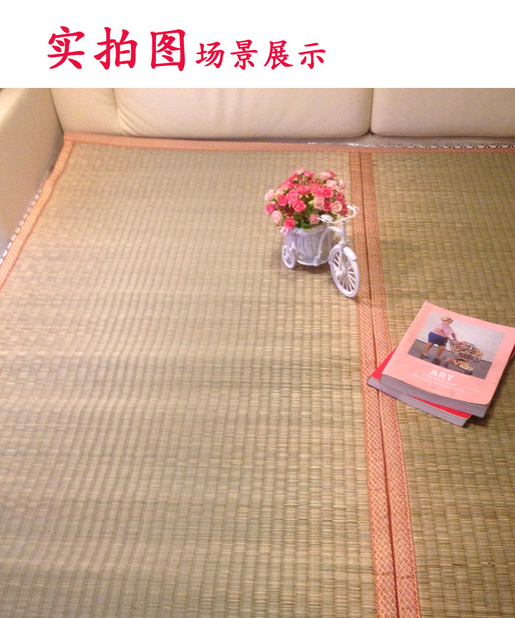 thảm bằng tay gấp dày sinh viên mã hóa mat ghế Khang Hy 1.8m giường 1.5m1.2m mat tùy chỉnh mới - Thảm mùa hè đệm hơi nước