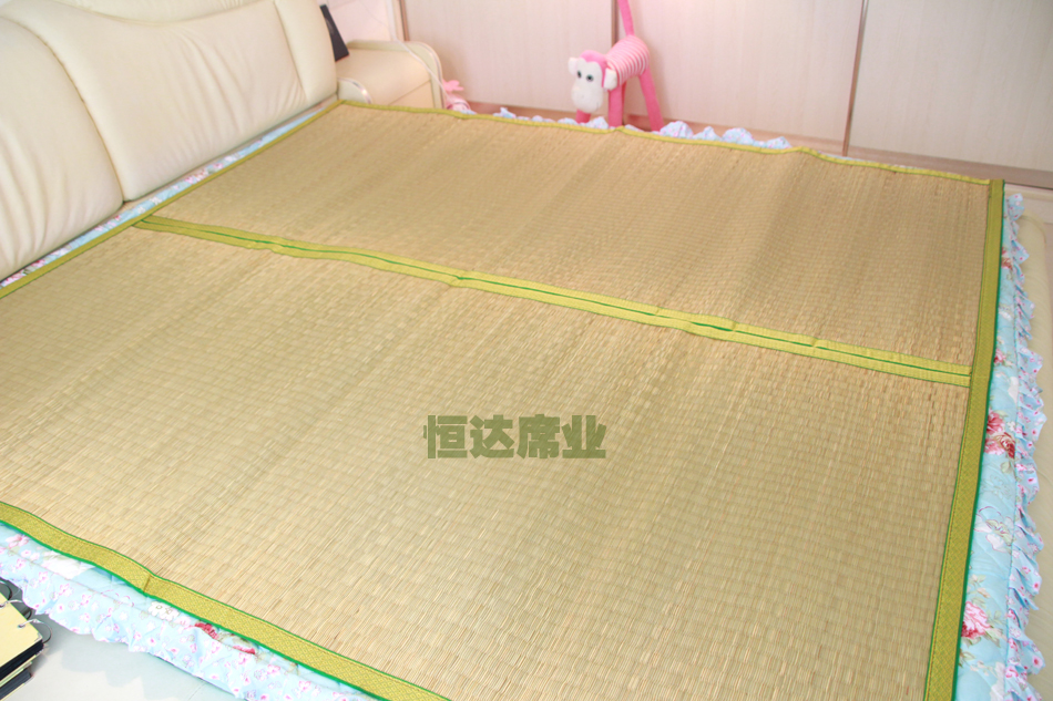 thảm bằng tay gấp dày sinh viên mã hóa mat ghế Khang Hy 1.8m giường 1.5m1.2m mat tùy chỉnh mới - Thảm mùa hè đệm hơi nước