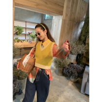 (Welfare Return field) Deve-like silk slip psychedelic long sleeve shirt female summer 2021 new loose blouses