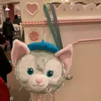 Большая сумка на одно плечо, мобильный телефон