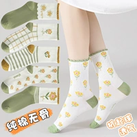 【LP фрукты зеленые цветы】 5 пар чистого хлопка без костей